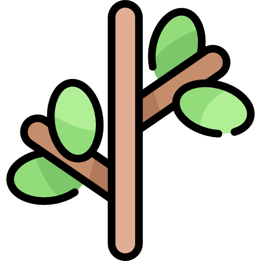 twig